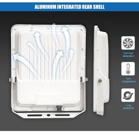 NUEVA LUZ SOLAR DE INUNDACIÓN 2021 DE 100W 200W 300W CON ALTO BRILLO