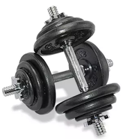 Vente directe des usines chinoises, haltères réglables en fonte de la marque JUNSHANG, barre de musculation 30 kg 50 kg, couleur personnalisée, unisexe, haute qualité