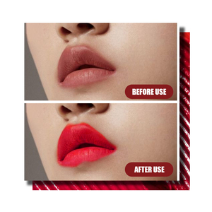 Chất Lượng Cao Nhãn Hiệu Riêng Nhung Son Môi Lỏng Không Thấm Nước <span class=keywords><strong>Matte</strong></span> Lâu Dài Vẻ Đẹp Mỹ Phẩm Bán Buôn Với Thấp Moq Trang Điểm - Product Image 6