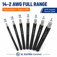 Fabricante de Cables Personalizados USE USE-2, Cable de Cobre con Aislamiento XLPE, Exportador de Cables para Pedidos al por Mayor para Entrada de Servicio