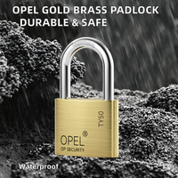 Cadenas en laiton doré poli antivol robuste de marque OPEL Serrure de porte durable en gros Clé étanche Nouveau design Tricercle