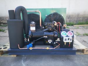 Unidad de Refrigeración por Condensación por Aire de Nueva Llegada, Máquina de Refrigeración para Almacenamiento en Frío, Unidad de Condensación de Desplazamiento Abierto para Copeland - Product Image 3