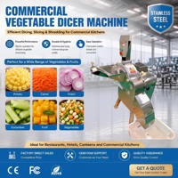 Hoogwaardige, op maat gemaakte, multifunctionele fruit- en groentesnijmachine voor wortelen en wortelgewassen - 380V/220V/110V
