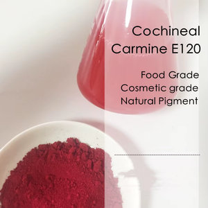 Pigmento Alimentario de Alta Calidad <span class=keywords><strong>E120</strong></span>, Polvo de Carmín Rojo Cochinilla Soluble en Agua de Grado Alimentario - Product Image 4
