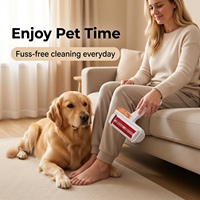 Rouleau réutilisable autonettoyant pour enlever les poils d'animaux pour canapé, tapis, vêtements