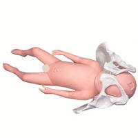 Ensemble de modèles d'accouchement KyrenMed modèle de bassin féminin grandeur nature et poupée bébé avec cordon ombilical modèle d'accouchement placenta