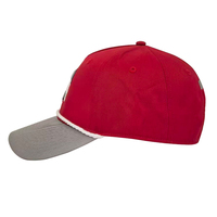 Casquettes de baseball sportives en coton pour hommes, personnalisables avec logo brodé, motif léopard, 5 panneaux, séchage rapide, imperméables, ajustables, toutes saisons, vente en gros