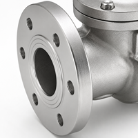 Vanne anti-retour à battant H44W CF8 Classe 150 NPT BSP pour l'industrie pétrolière et gazière, vanne de pipeline industrielle pour l'huile et le gaz