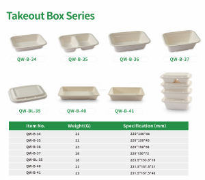 750ml 2-com dùng một lần hình chữ nhật Hộp Ăn Trưa phân hủy sinh học mía takeout container thực phẩm cắm trại bã mía hộp bữa ăn - Product Image 4