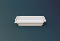 Hete voedselverpakking 380ml Wegwerp Moderne Biologisch afbreekbare Maïszetmeel Bento Box met deksel Magnetronbestendig Lekvrij Bakje