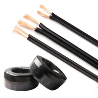Cable Plano Aislado SPT en Oferta para Ecuador y México, SPT1 SPT2 2*10AWG, Cobre Trenzado Paralelo 105C, Cable de Extensión Doméstico