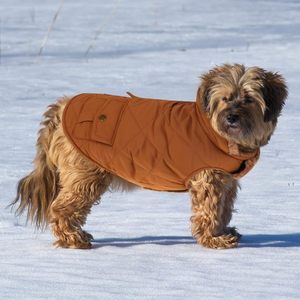 Giacca invernale con fodera Ultra spessa Premium per cani di piccola taglia piumino caldo con tasche portaoggetti (marrone) - Product Image 6