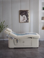 Bester Preis Luxus Hydrotherapie Elektrische Kosmetik-Massageliege Wasserbett mit Salon-Warmwasserfunktion und starkem Schubmotor
