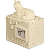 OEM Pet kedi anıt Urn, pençe baskı kalp madalyon, reçine küçük Pet külleri Mini kedi Keepsake Urn kutusu