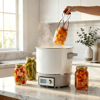 Casserole électrique 1800W 27L, corps en aluminium, contrôle mécanique de la température, usage commercial et domestique
