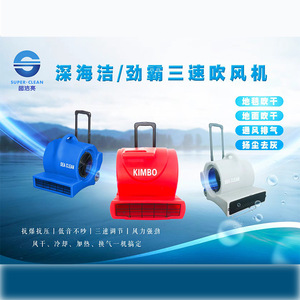 เครื่องเป่าลมแรงสูง 900W 220V-240V สำหรับพรมและพื้นห้องน้ำ - Product Image 4