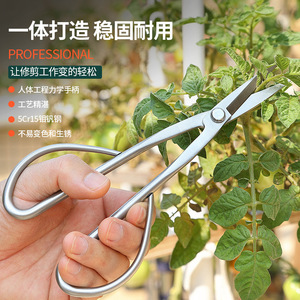 Sécateur bypass Pinheng 5-10 mm en acier allié gris pour la coupe des tiges de fleurs et le jardinage - Product Image 1