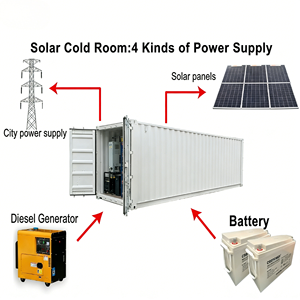 Conteneur de stockage frigorifique à économie d'énergie, chambre froide et congélateur intégrés dans un conteneur, alimenté à l'énergie solaire, pour la conservation des aliments - Product Image 3