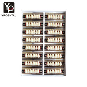 YP Denti OEM in Resina Acrilica Multistrato per Protesi Dentarie Denti in Resina Sintetica Acrilica per Protesi Dentale - Product Image 4