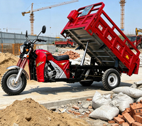 China levert groothandel op maat gemaakte 3-wielige 200cc vrachtmotorfiets met zijspan, benzine aangedreven landbouw driewieler