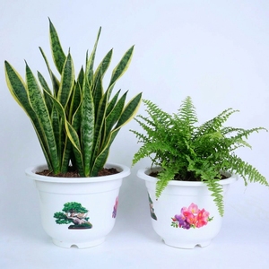 Macetas Redondas Decorativas de Plástico PP Blanco al por Mayor con Elegantes Calcomanías Florales para Bonsái, Decoración de Jardín Interior, Directo de Fábrica - Product Image 1