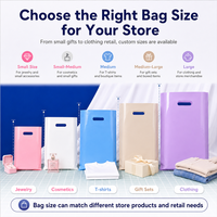 Sacs de marchandises au détail en plastique brillant pour les petites entreprises Sacs à provisions au détail pour les magasins et plus de plastique réutilisable
