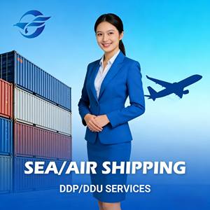 Verzending naar de VS, Canada, Mexico |   <span class=keywords><strong>20</strong></span>+ jaar DDU DDP expediteur - Product Image 1