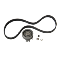 Phụ Tùng Ô Tô Phụ Tùng Schaeffler 06a109119 Bán Sỉ Xe Hệ Thống Động Cơ Thời Gian Vành Đai Thời Gian Ròng Rọc Phù Hợp Cho Ghế V.W