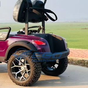 Carrito de Golf Eléctrico de 2 Plazas con Batería de Litio y Color Personalizable, Alto Rendimiento, Entrega Rápida - Product Image 5