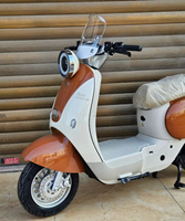 GAROW Moto électrique vintage 1000w Streetbike, vitesse maximale 60km/h, Emoped avec phare LED