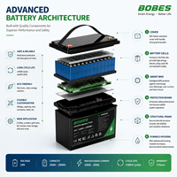 Batterie au lithium LiFePO4 haute performance 12V 24V, alternative au plomb-acide pour chariots de golf/UPS/utilisation marine