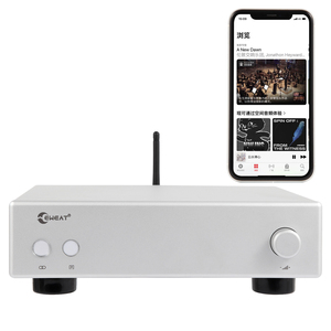Precio de fábrica Wifi Blue-Tooth 5,0 Mini Home Stereo Karaoke Amplificador de potencia Audio con SBC/<span class=keywords><strong>AAC</strong></span>/apt-X HD codec - Product Image 1