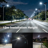 Lampadaire solaire universel à poteau 300W pour usage extérieur et projets