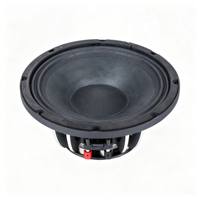 Altavoz de graves 10N65 para cesta de altavoz, 10 pulgadas, 250W, 8 ohmios, VC 2.5'', equipo de sonido profesional para escenario, OEM ODM de fábrica