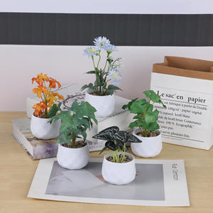 Gran oferta, pequeño mini bonsái de plástico, <span class=keywords><strong>Cactus</strong></span> falso, suculentas en maceta, plantas artificiales en maceta - Product Image 3