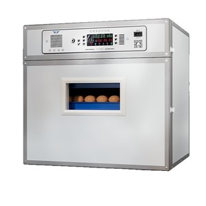 Incubateur d'œufs automatique, capacité de <span class=keywords><strong>80</strong></span> œufs, machine d'éclosion pour poulets, canards et cailles - Product Image 1