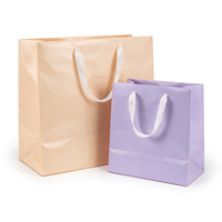 Sac de rangement extérieur en papier couché souple avec design imprimé UV personnalisable pour emballage et utilisation en extérieur