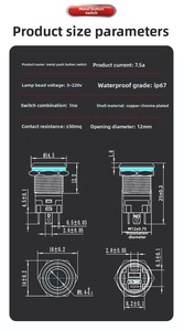 Küçük Yüksek Akımlı IP65 Su Geçirmez Pirinç Paslanmaz Çelik Düğme Anahtarı 12mm Işıklı Kendinden Kilitlemeli Kendinden Sıfırlamalı Güç Başlatma - Product Image 6