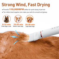 Sèche-cheveux pour animaux de compagnie 1000W écologique de luxe à ions négatifs, brosses de toilettage pour chiens à grande vitesse, tension universelle (110-240V)