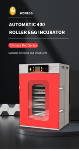 Wonegg CE đánh dấu 400 trứng lớn lồng ấp với nhiệt độ và độ ẩm cảm biến - Product Image 6