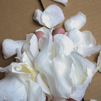 pétales de rose en vrac pour toujours éternel préservé pétales de fleur de rose naturelle préservée pétales de rose blanche f