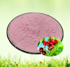 Extracto Natural de Acerola en Polvo, Vitamina C, Extracto de Acerola 25% VC - Product Image 2