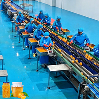 ENAK Automatische Geïntegreerde Productielijn voor Geconserveerd Fruit, Natuurlijke Citrusvruchten en Mandarijnen