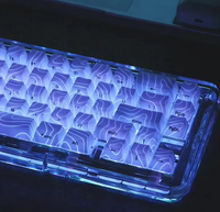 Le Keycap de caractère translucide de profil original brille à travers les Keycaps avec les Keycaps de clavier imprimés latéraux de profil d'OEM de technologie d'IMD