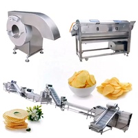 Volledig automatische productielijn voor gebakken aardappelchips/machine voor het produceren van frieten/verwerking van diepvriesfrieten