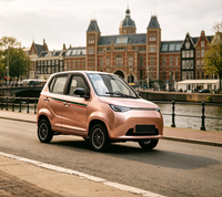 Modèle européen de mini SUV électrique alimenté par batterie, véhicule électrique, petite voiture électrique, EEC COC
