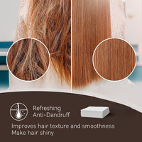 Shampooing en feuilles portable pour voyage, 25 comprimés, nettoyage en profondeur, lissant, antipelliculaire, soulage les démangeaisons, dissolution rapide