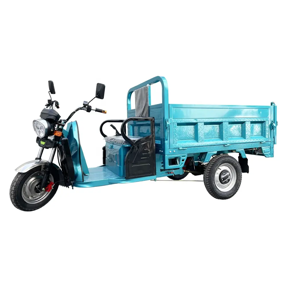 China Factory Electric Tricycles 3 Wheel Electric Cargo Bike Hot Selling E Trike For Adult Cargo Tricycle EEC COC