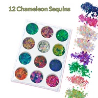 Glitter Sequin Kuku 12 Warna Chameleon Cross-Border Super Flash Laser Aurora PET Ultra Tipis Set DIY