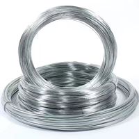 Cintre en fil d'acier galvanisé certifié API et JIS, revêtement Z41-Z60, robuste pour les bâtiments, norme ASTM
